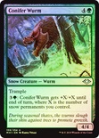 Conifer Wurm