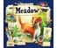 Meadow - Bundle Base + Downstream + Pack