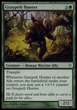 Graypelt Hunter