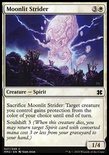 Moonlit Strider