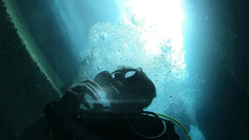 Why-Marine-Ecosystems-Are-So-Hard-to-Model