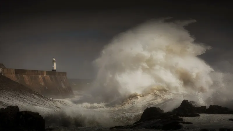 Ocean Resilience and Vulnerability: Why Causal Thinking Matters