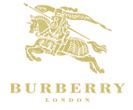Burberry Color