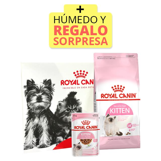 Pack Start of Life Kitten | Royal Canin