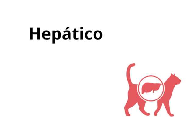 Hepatico - Gato