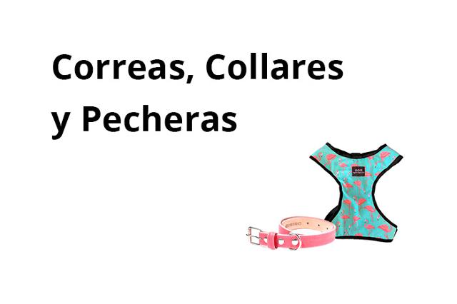 Perro - Correas y Collares