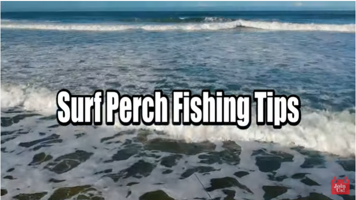 One of the Best Hooks for Bait Fishing/ Catch and Cook Surf Perch