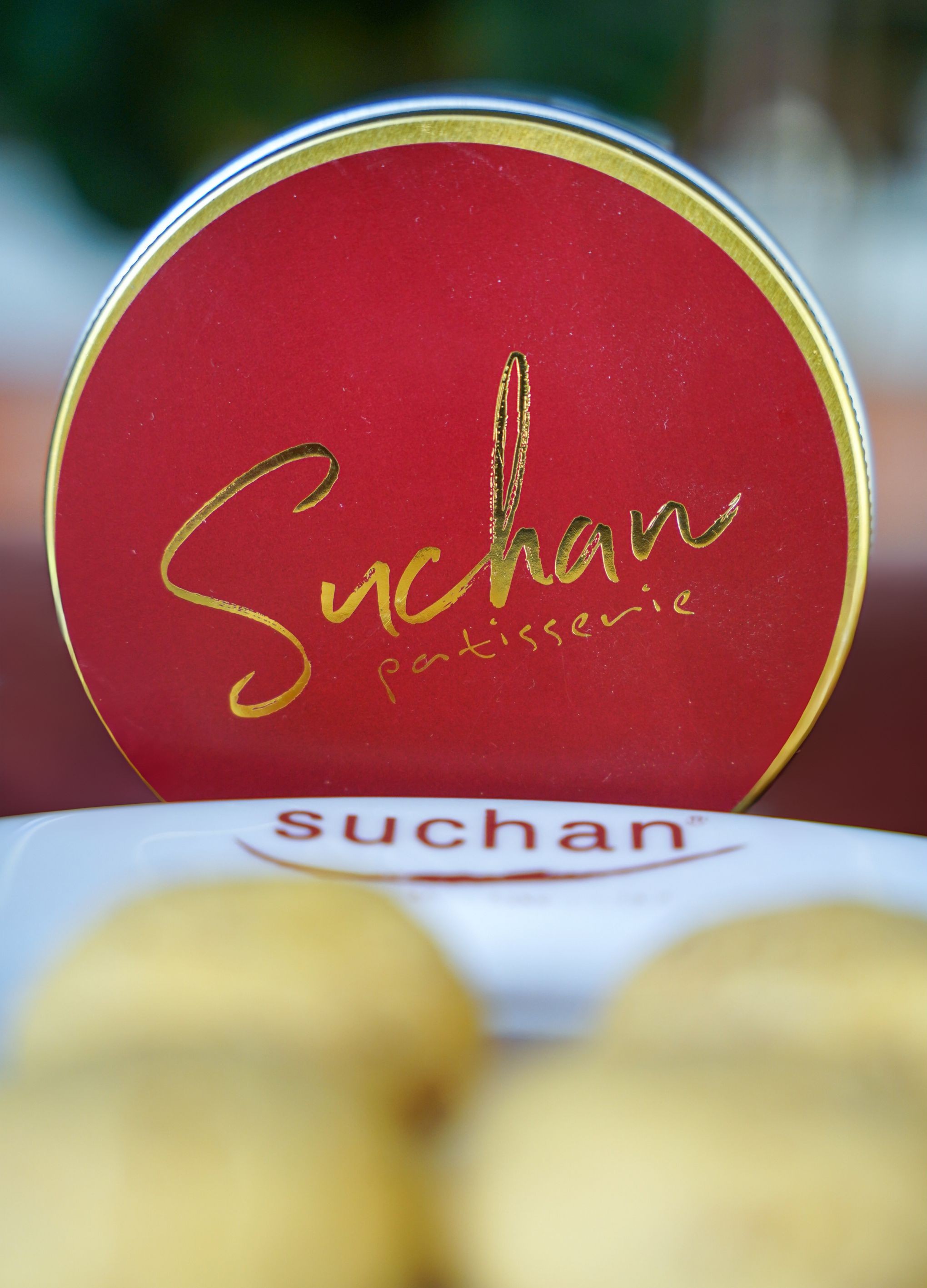 Suchan-13-brown.jpg