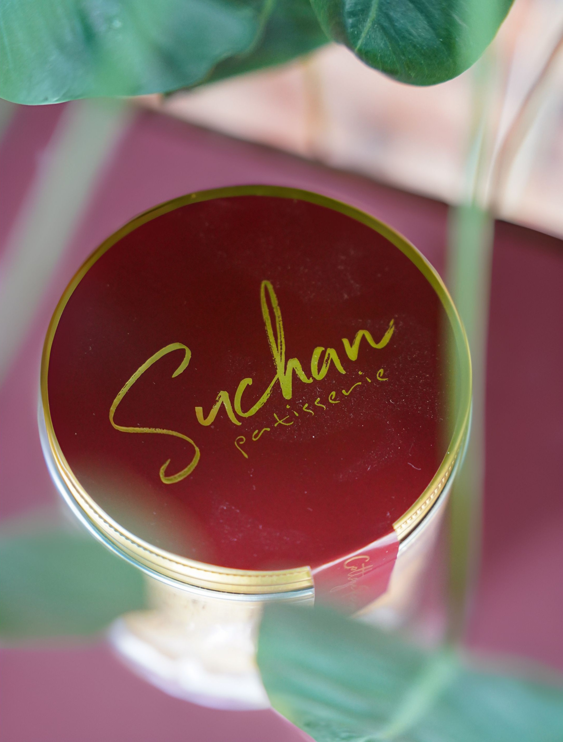 Suchan-10-brown.jpg