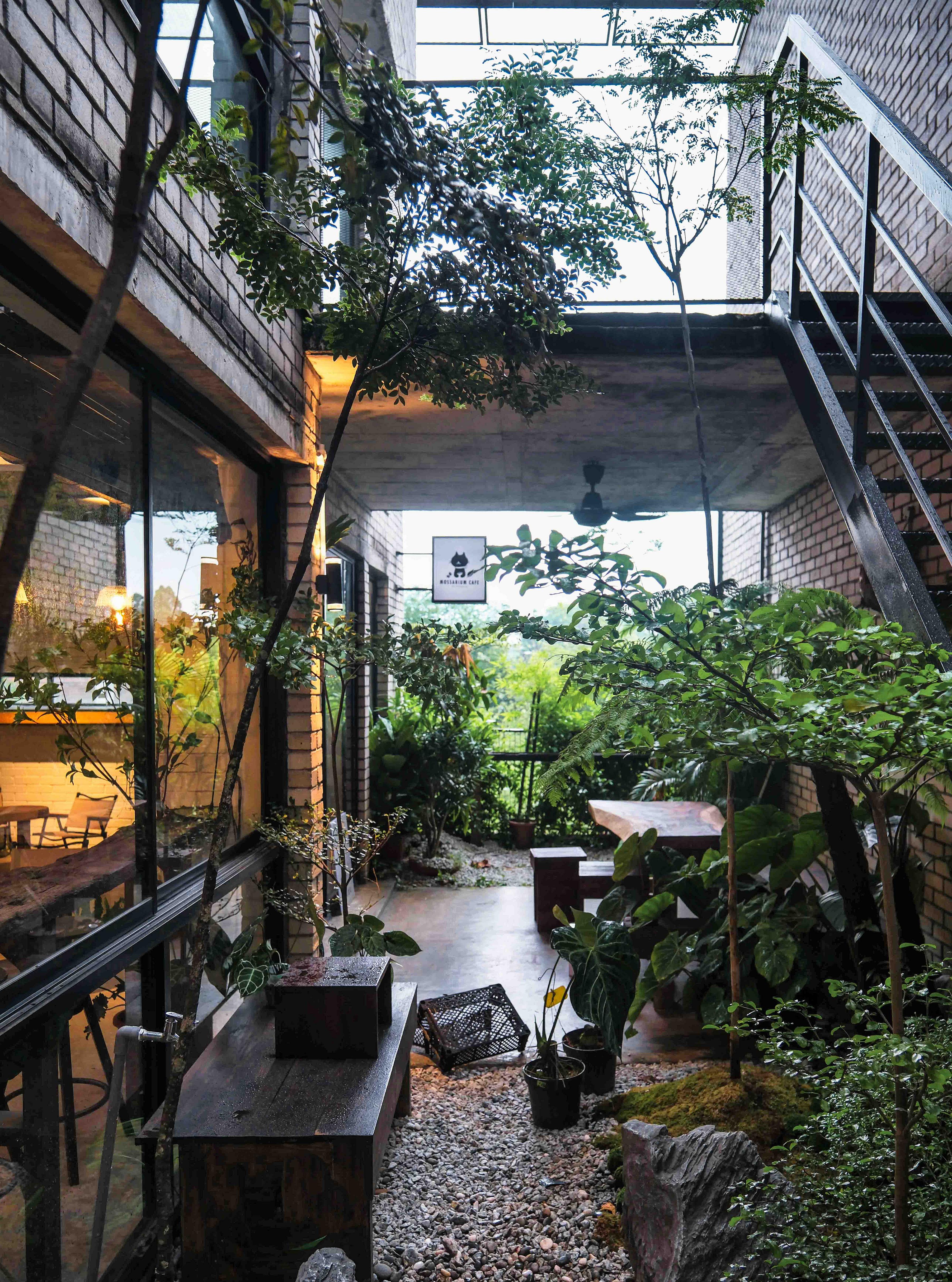 mossarium cafe, sungai buloh