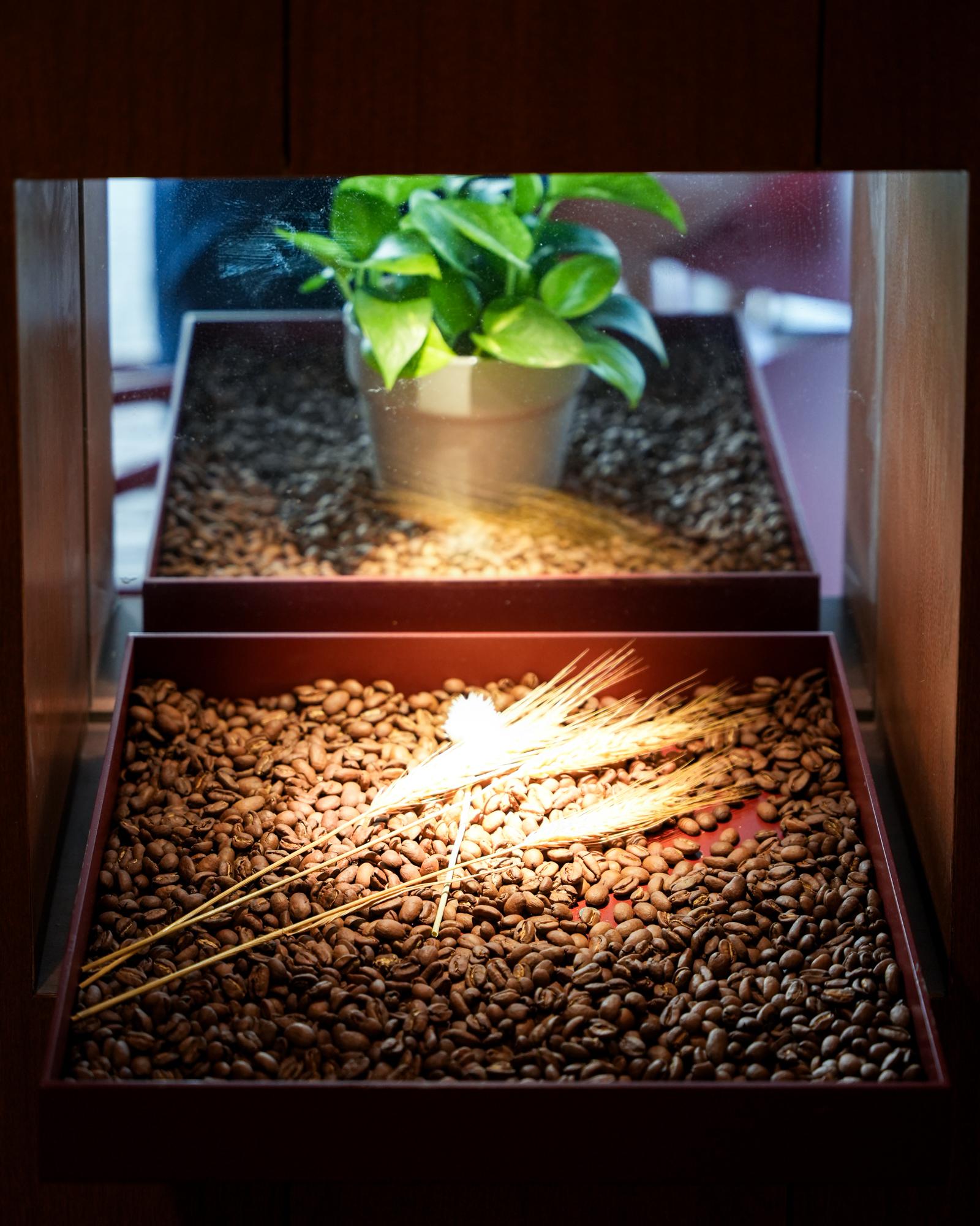 Hub Coffee-13.jpg