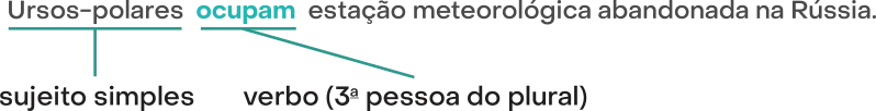 Imagem da frase: Ursos-polares ocupam estação meteorológica abandonada na Rússia. O termo ursos-polares é sujeito simples. Ocupam é o verbo (3ª pessoa do plural).
