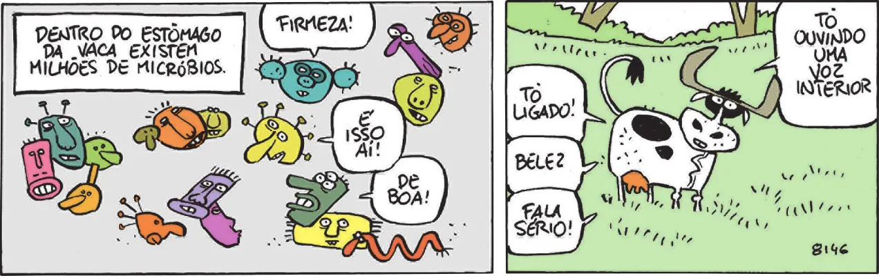 Tirinha com dois quadros. Q1: Dentro do quadro, do lado superior esquerdo, há um retângulo com o seguinte texto: ‘Dentro do estômago da vaca existem milhões de micróbios.’. Em volta do retângulo, são representados dezoito tipos de micróbios de diferentes formas e cores. Alguns deles dizem: ‘Firmeza!’, ‘É isso aí!’, ‘De boa!’. Cada uma das expressões é apresentada em um balão de fala. Q2: Uma vaca branca com manchas pretas, em um pasto verde. Da barriga da vaca, saem alguns balões de fala com as seguintes expressões: ‘Tô ligado!’, ‘Belez’, ‘Fala sério!’. Cada uma das expressões é apresentada em um balão de fala. A vaca, com expressão confusa, diz: ‘Tô ouvindo uma voz interior.’