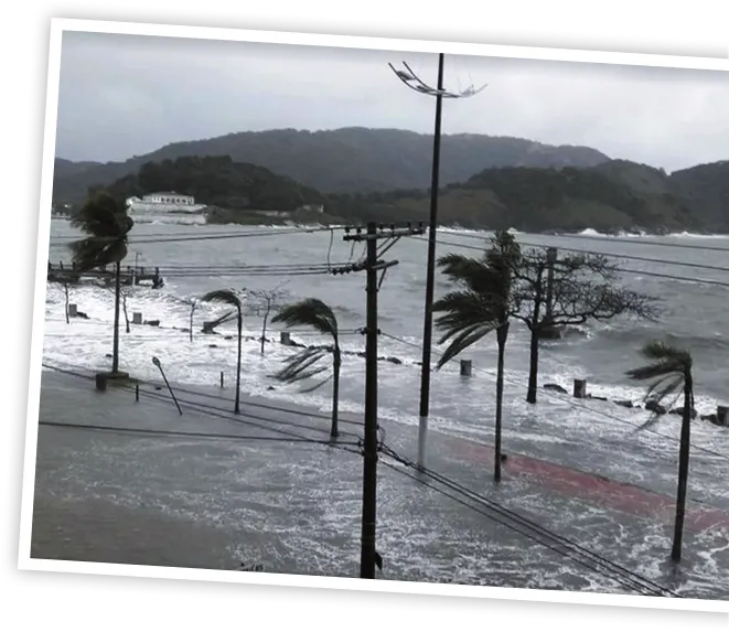 Imagem de praia e orla alagadas. As folhas das palmeiras são agitadas pelo vento vindo do mar.