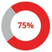 Imagem de gráfico em anel com setor de 75% destacado.