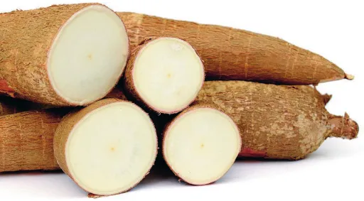 Imagem de mandiocas.