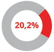 Imagem de gráfico em anel com setor de 20,2% destacado.