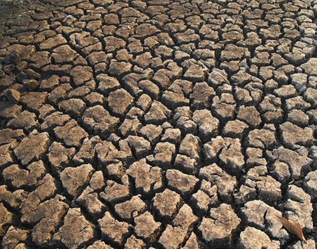 Imagem de solo rachado.