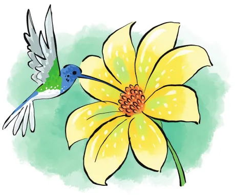 Imagem de um beija-flor se alimentando do néctar de uma flor.