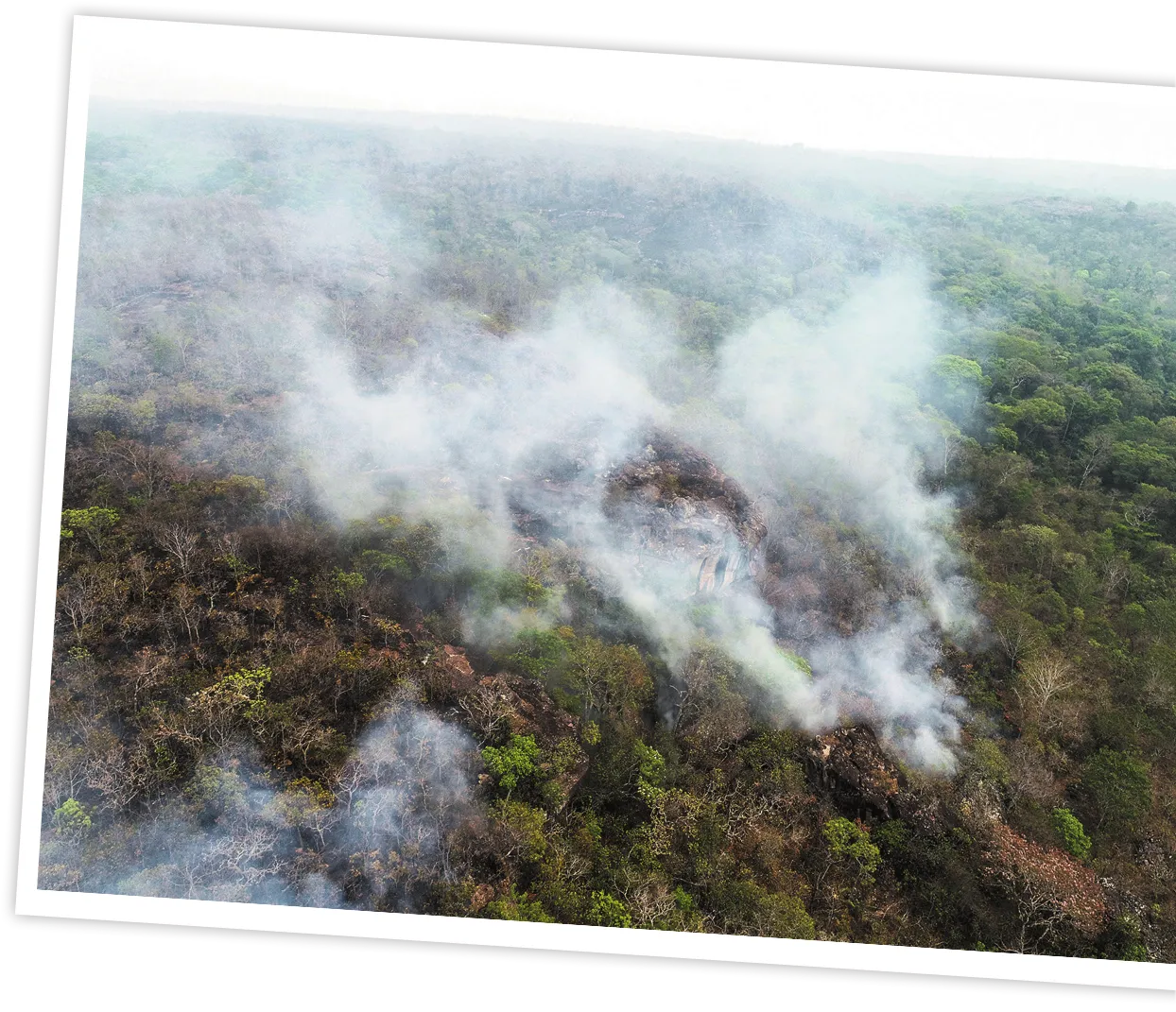 Imagem de incêndio florestal. A paisagem está encoberta por fumaça.