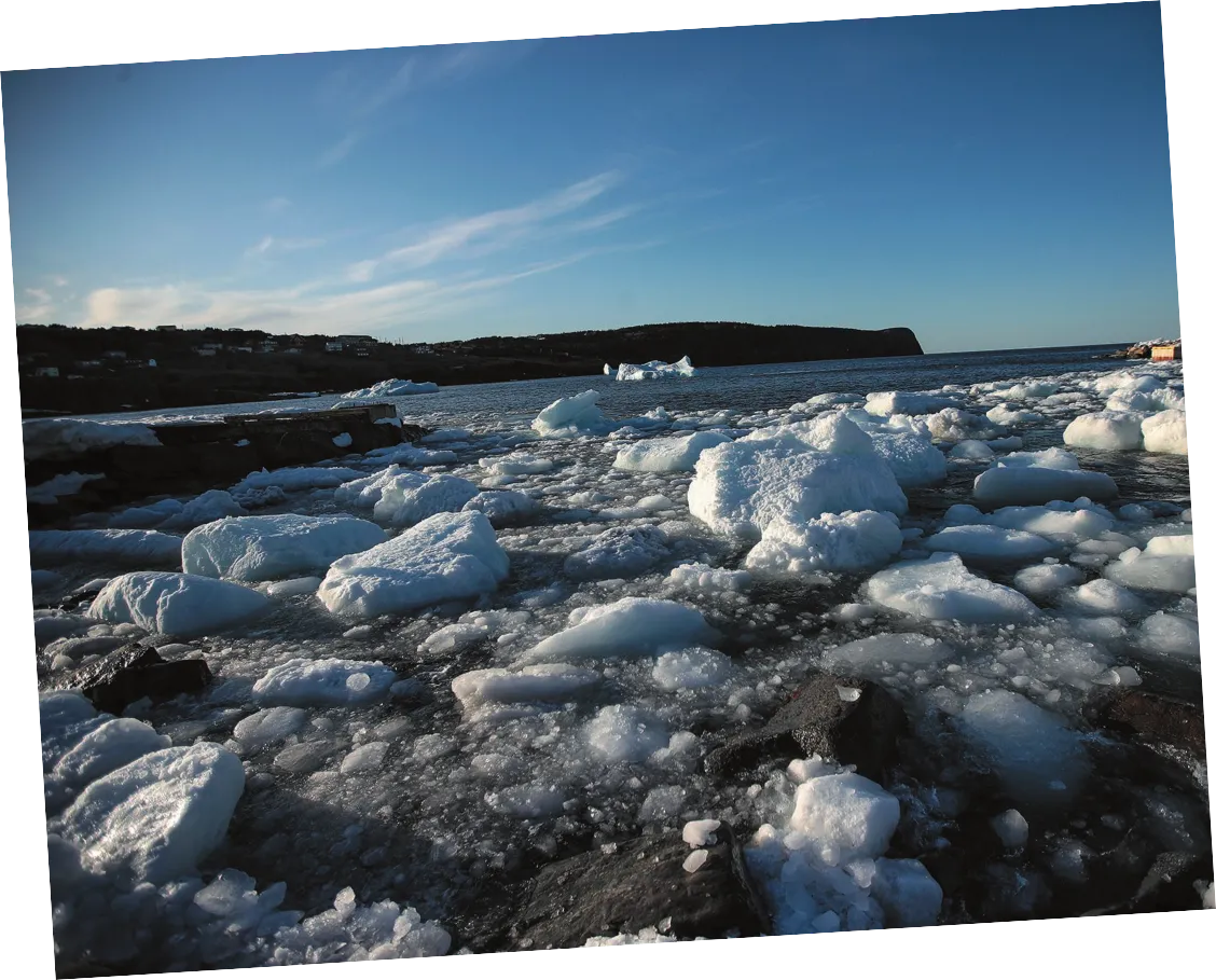 Imagem de pedaços de gelo glacial espalhados em uma praia.