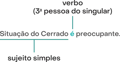 Imagem da frase: Situação do Cerrado é preocupante. O termo situação do Cerrado é sujeito simples. A palavra É corresponde ao verbo (3ª pessoa do singular).