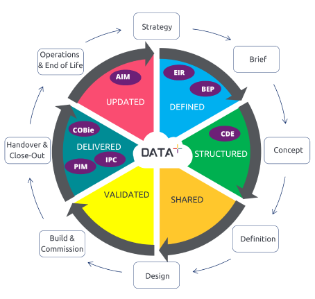 DataPLus-info-2-web