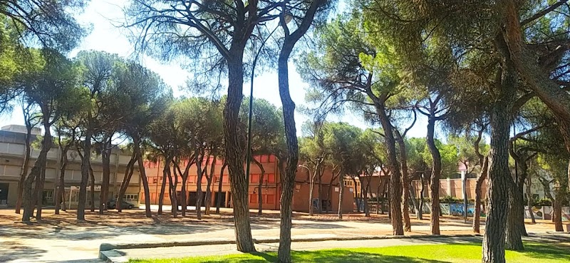Foto principal del colegio