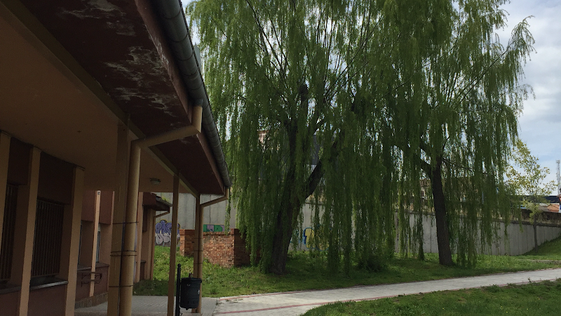 Foto principal del colegio