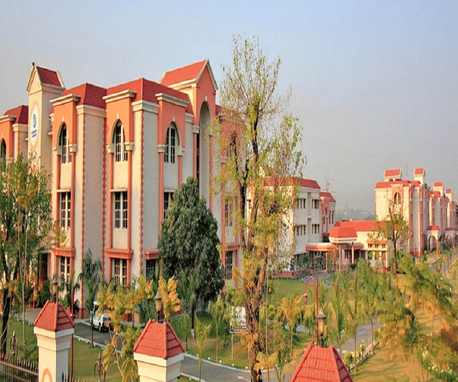 College cover image
