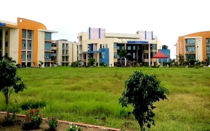 College cover image