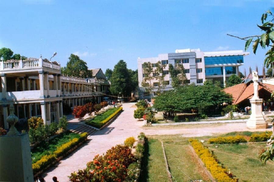 College cover image