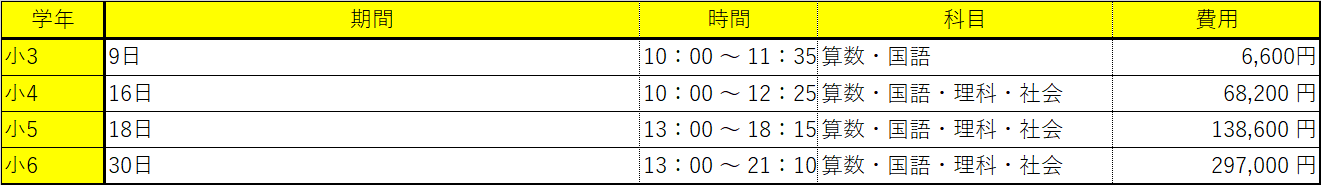 【最新版】どう選ぶ？中学受験の夏期講習13