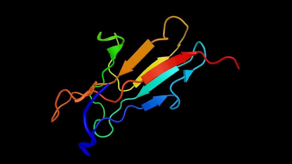 The receptor for advanced glycation endproducts