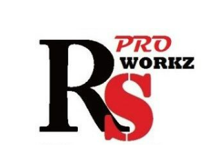 RS WorkZ Pro singapore