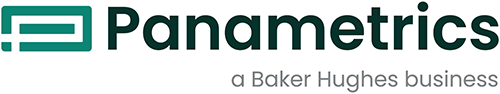 GE Panametrics singapore