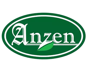 Anzen singapore