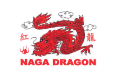 Dragon logo