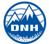 DNH singapore