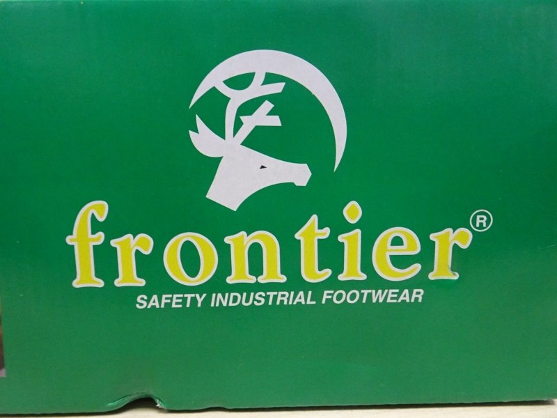 Frontier singapore