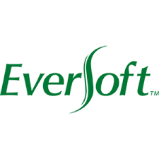 Eversoft singapore