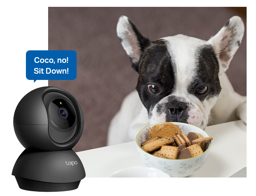 Two-Way Audio
Use crisp two-way audio to communicate with nosy roommates, family, or even mischievous pets.