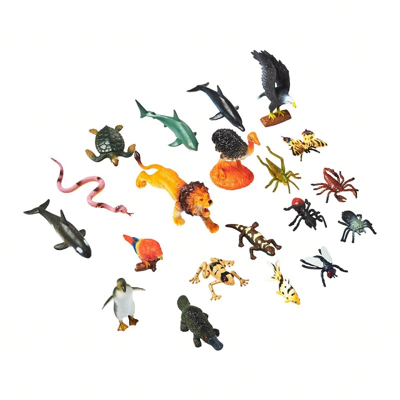 Play N Learn Science Toy Animal Classification Game Pack - Eezee