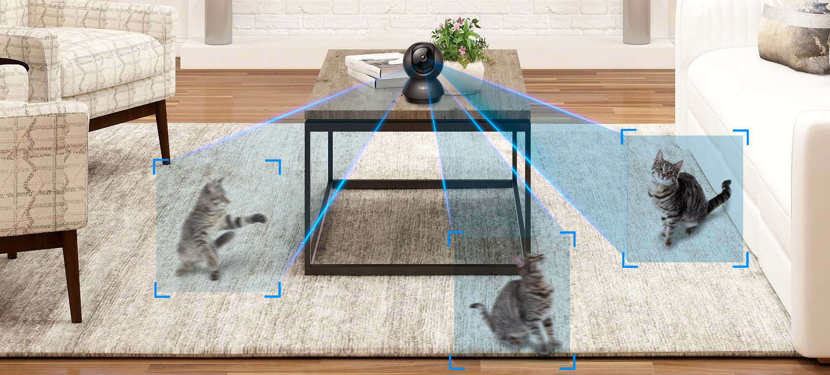 Precise Motion Tracking
Keep an Eye on the Action
When motion activity is detected, tracks and follows the subject to keep it within view.