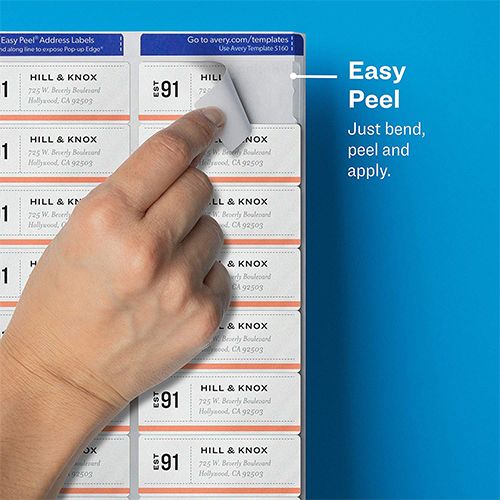 avery-easy-peel-address-labels-permanent-adhesive-5160-singapore-eezee