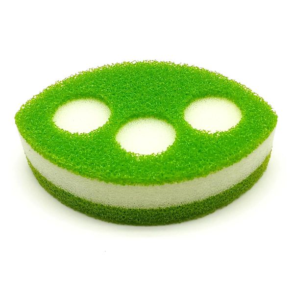 kitchen sponge