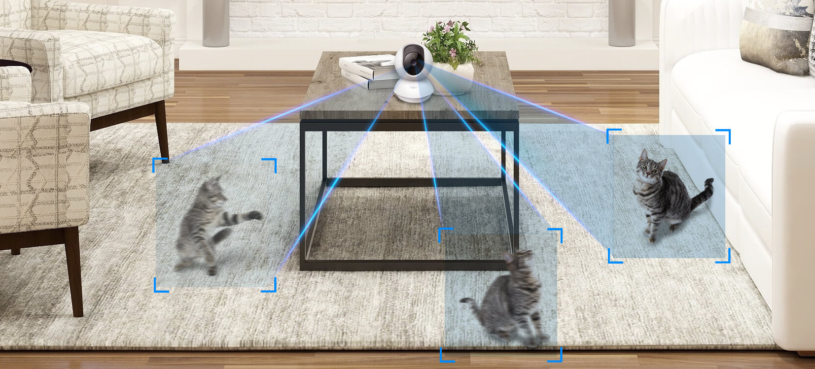 Precise Motion Tracking
Keep an Eye on the Action
When motion activity is detected, tracks and follows the subject to keep it within view.