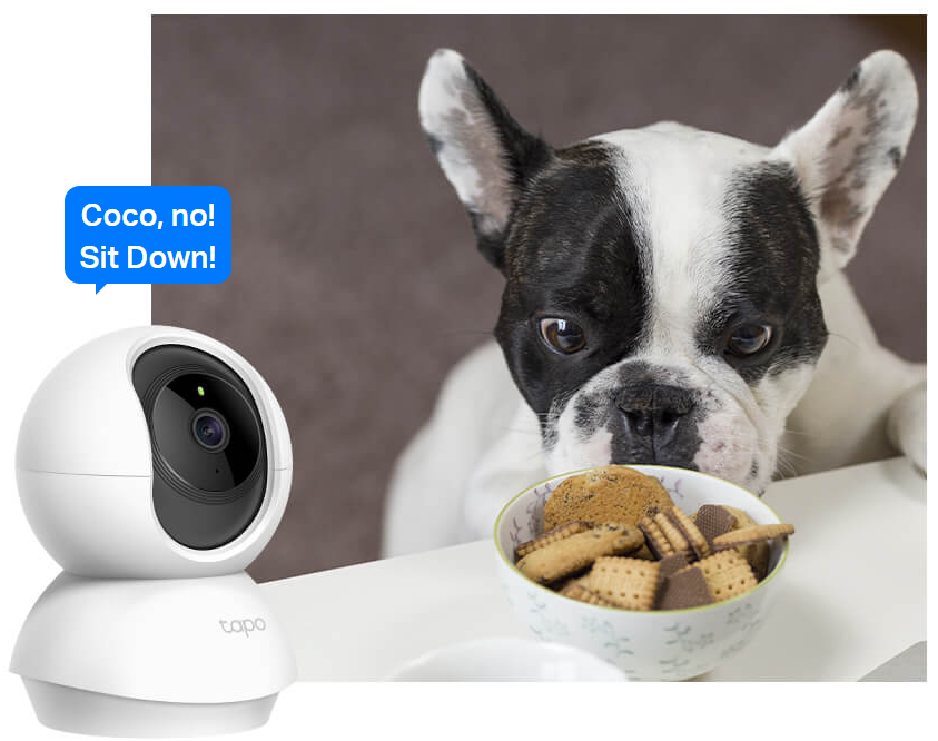 Two-Way Audio
Use crisp two-way audio to communicate with nosy roommates, family, or even mischievous pets.