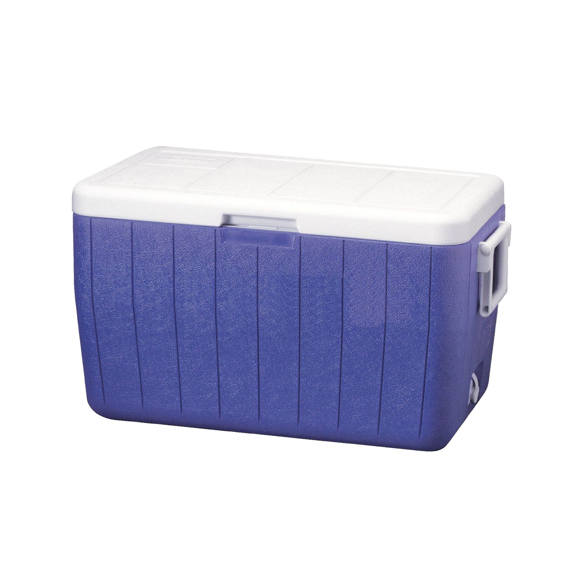 coleman 45l cooler