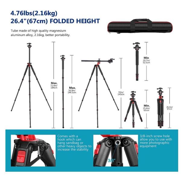 Max 72 new arrivals